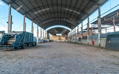 Pavilhão com 2000m², 8 vagas, no bairro Navegantes em Porto Alegre para Comprar ou Alugar